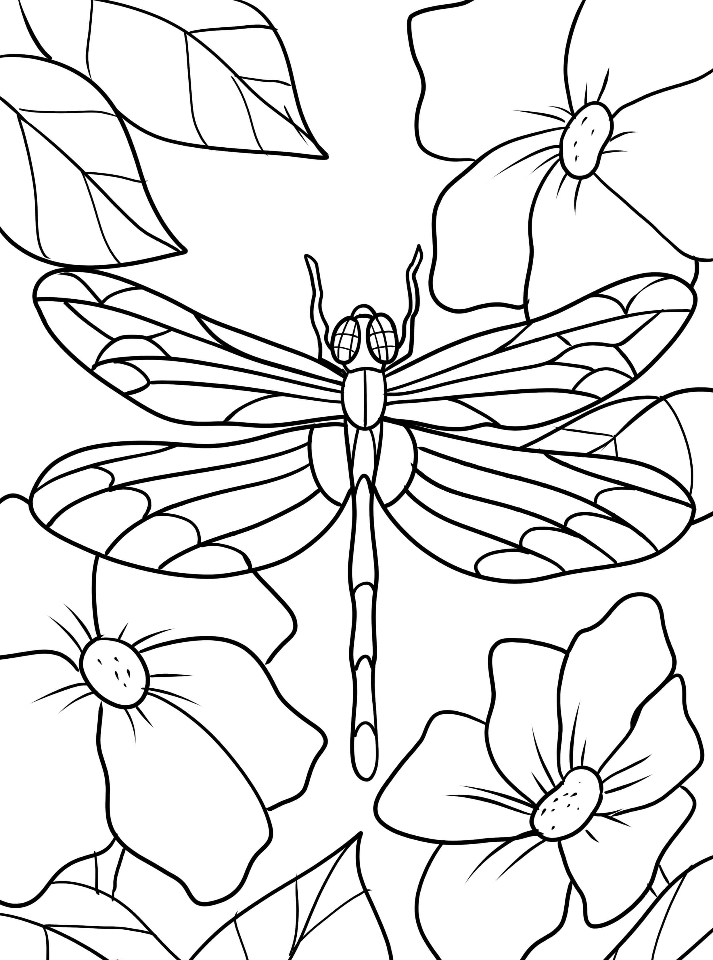 Coloriage Libellule Et Des Fleurs - Libellule à imprimer