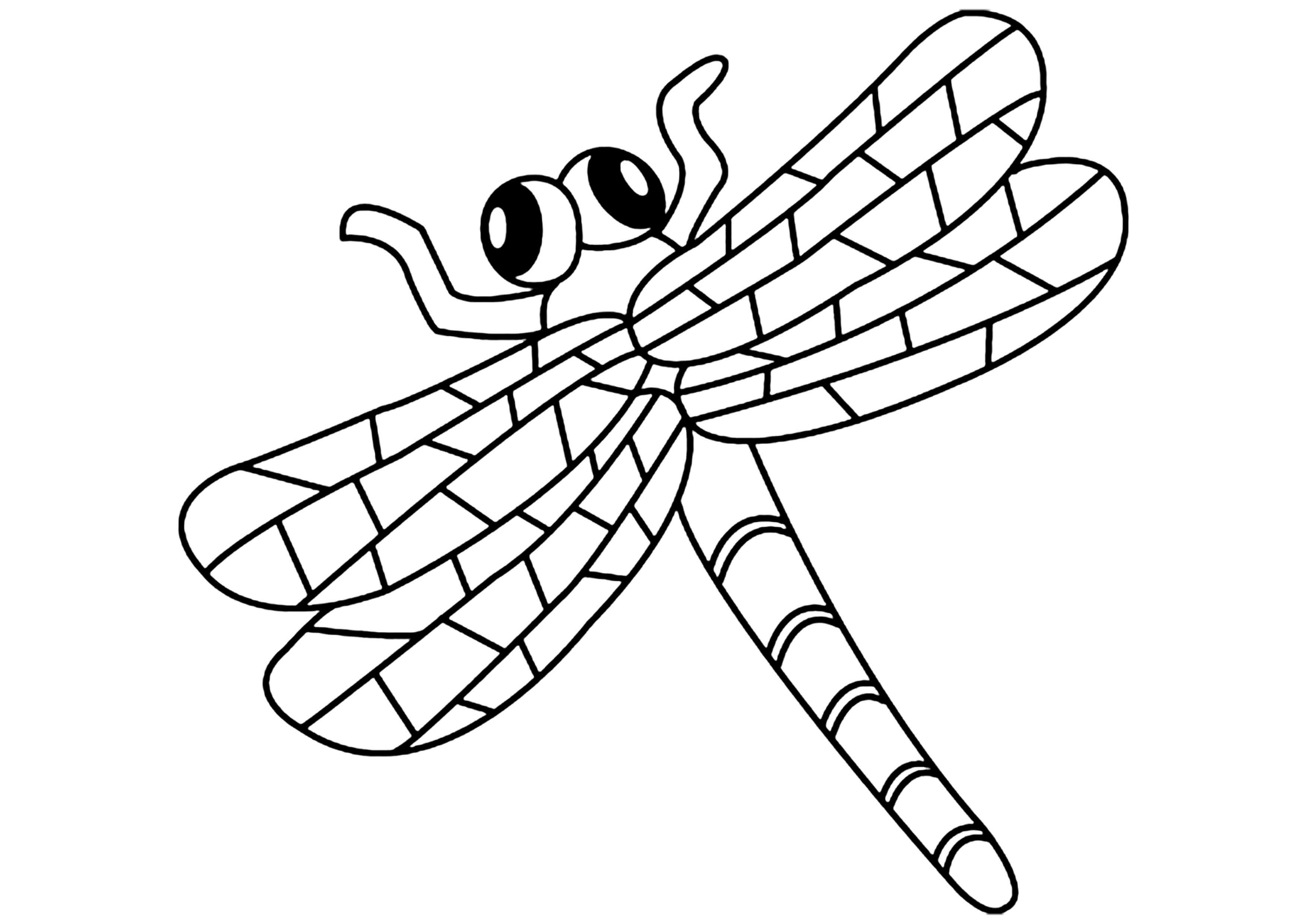 Coloriage Libellule Facile Maternelle - Libellule à imprimer