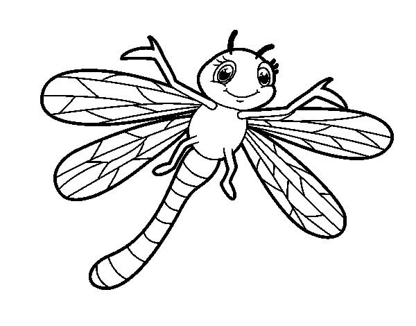 Coloriage Libellule Souriant Insecte Adorable - Libellule à imprimer