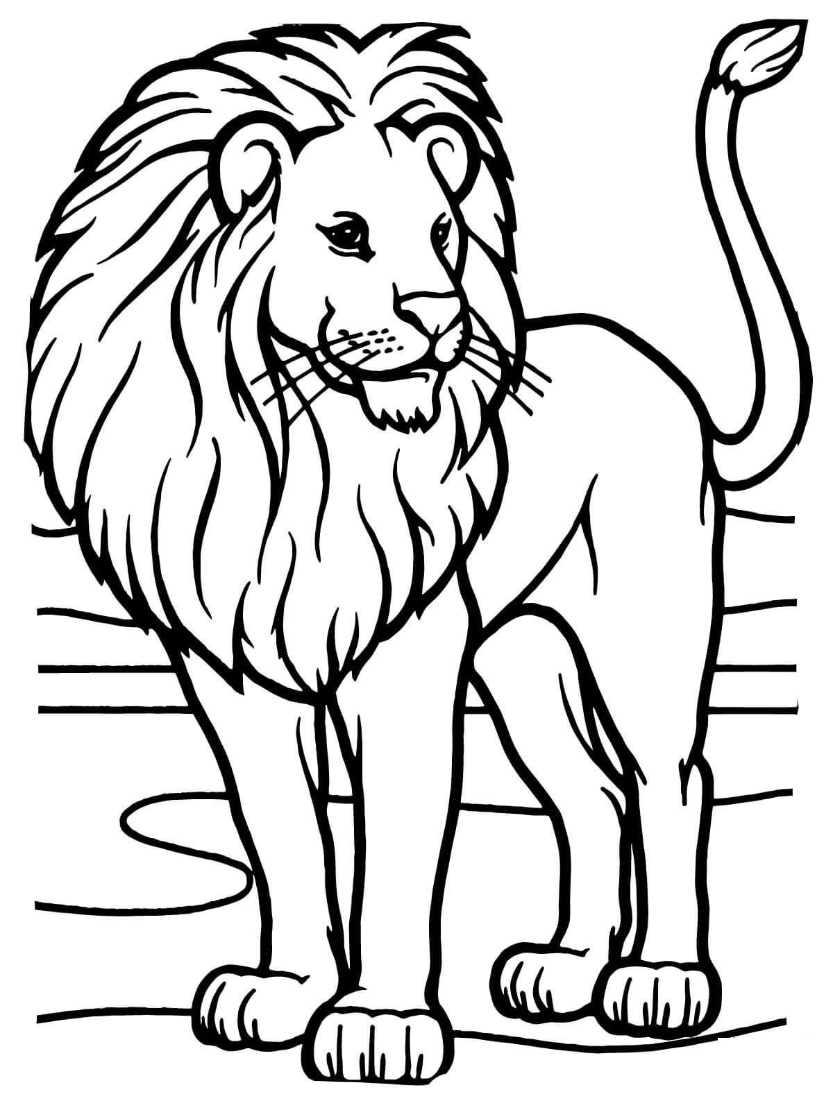 Coloriage Lion D'Afrique Sauvage - Garçon à imprimer