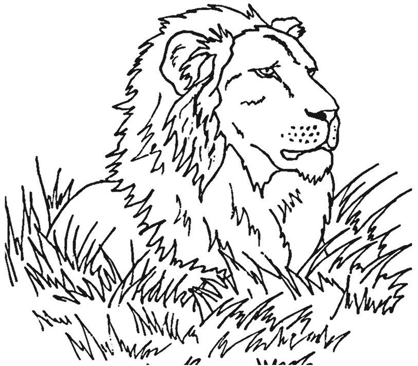 Coloriage Lion Dans La Savanne - Garçon à imprimer