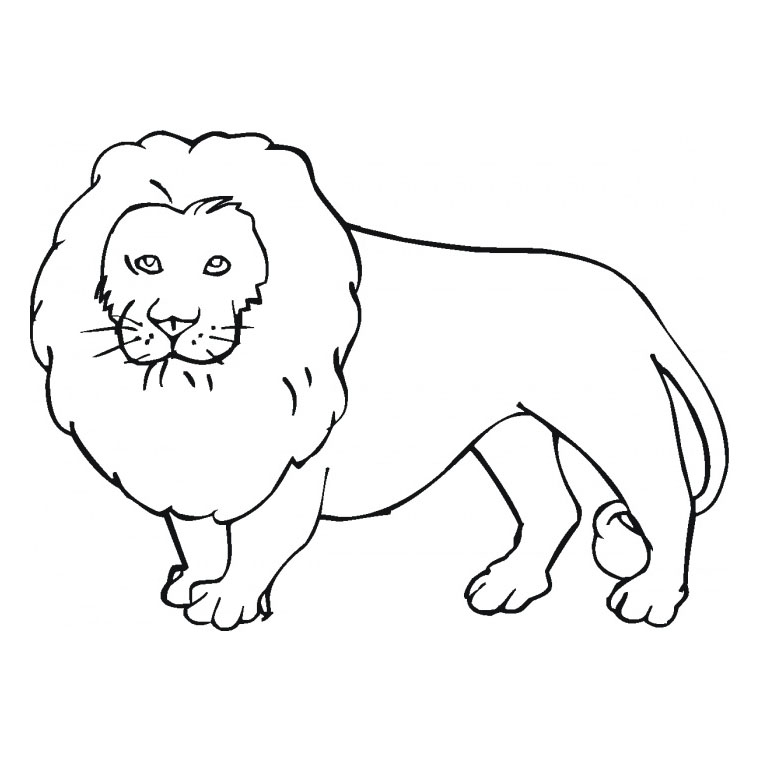 Coloriage Lion Majestueux - Animaux à imprimer