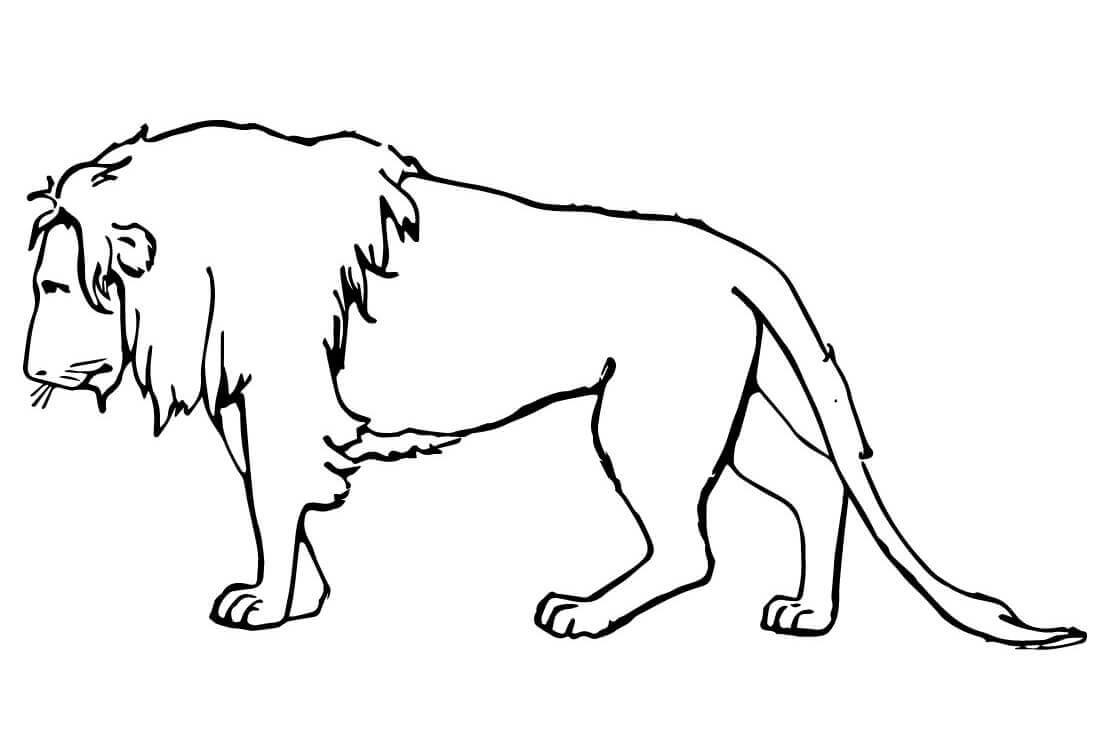 Coloriage Lion Triste - Lion à imprimer