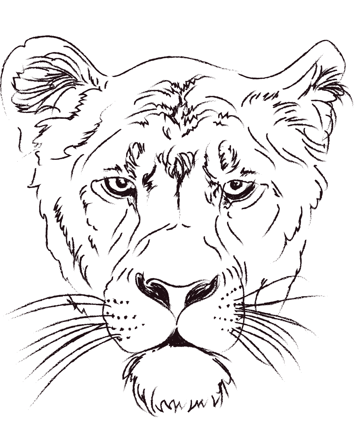 Coloriage Lioness Head - Lion à imprimer