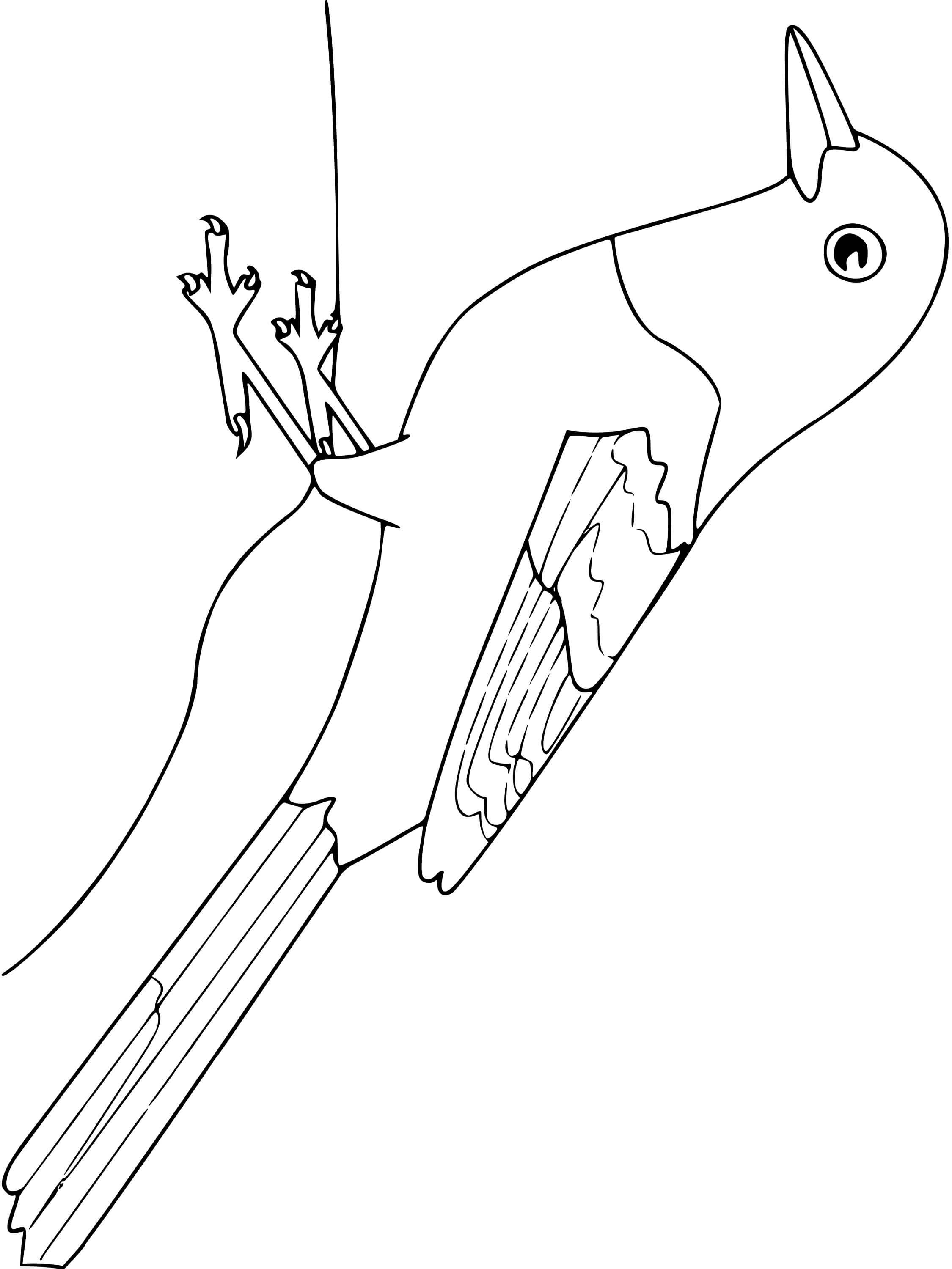 Coloriage Loriot Oiseau - Oiseau à imprimer
