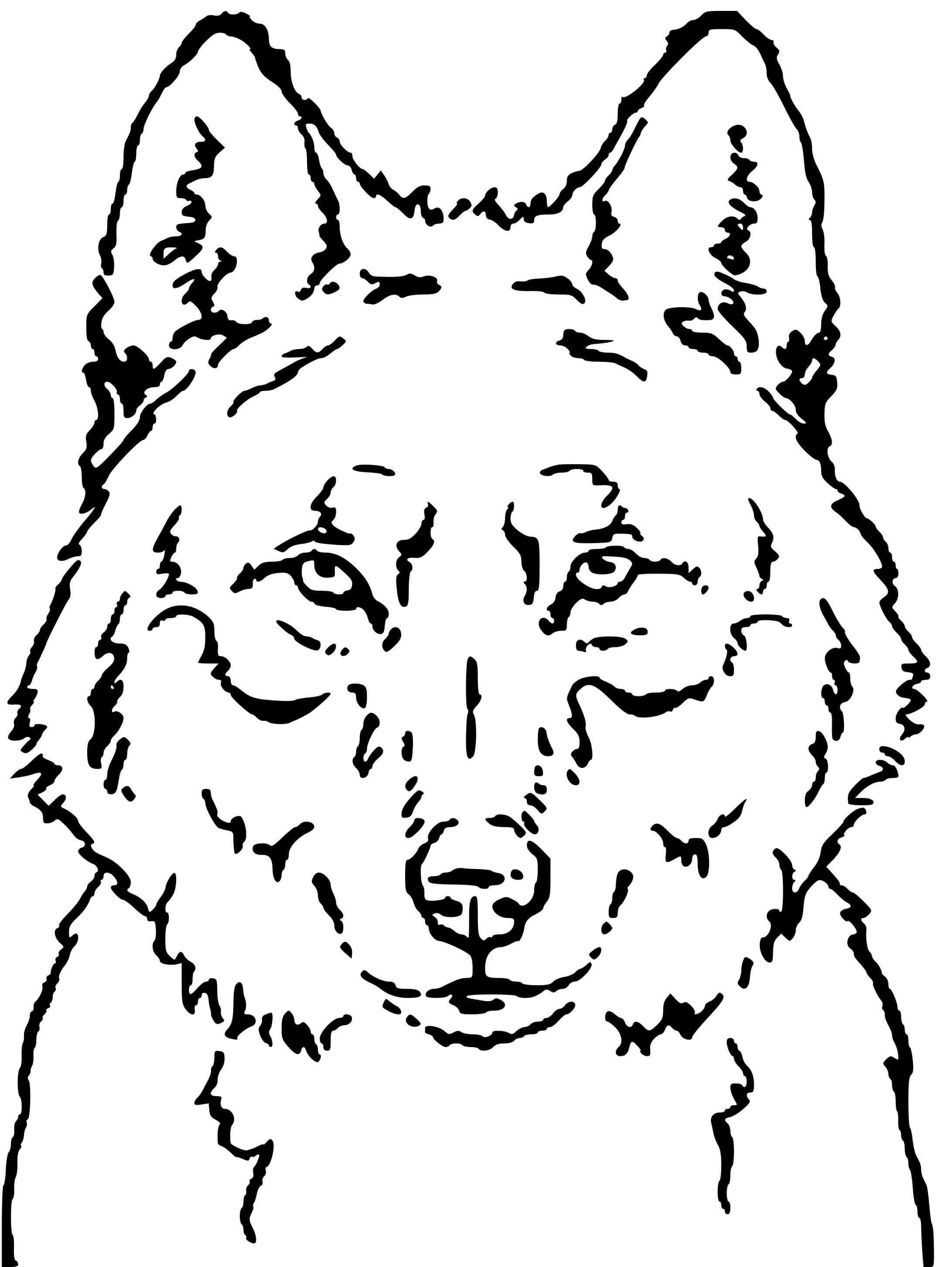 Coloriage Loup Face Tête Portrait - Loup à imprimer