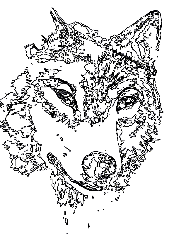 Coloriage Loup Gris Animal Timbre - Adulte animaux à imprimer