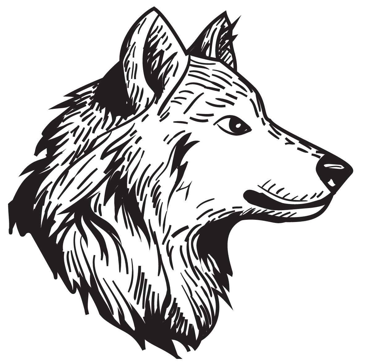 Coloriage Loup Male Animal - Loup à imprimer
