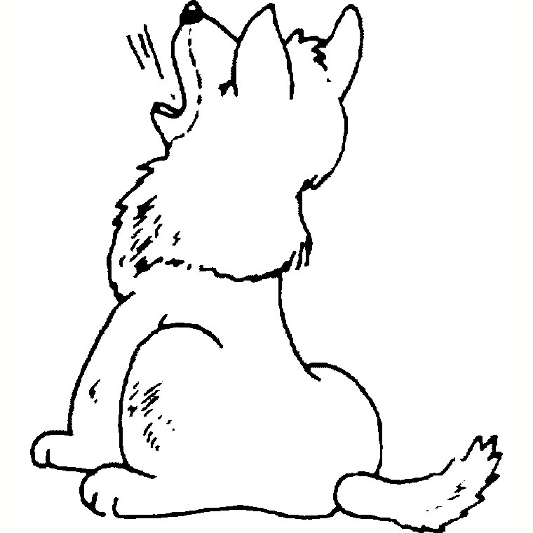 Coloriage Loup Maternelle - Animaux à imprimer