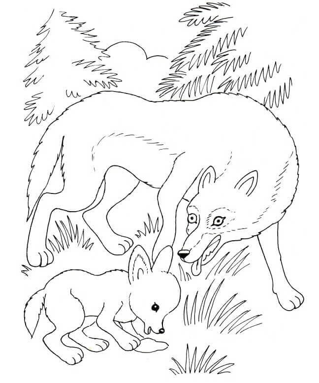 Coloriage Louve Et Louveteau - Loup à imprimer