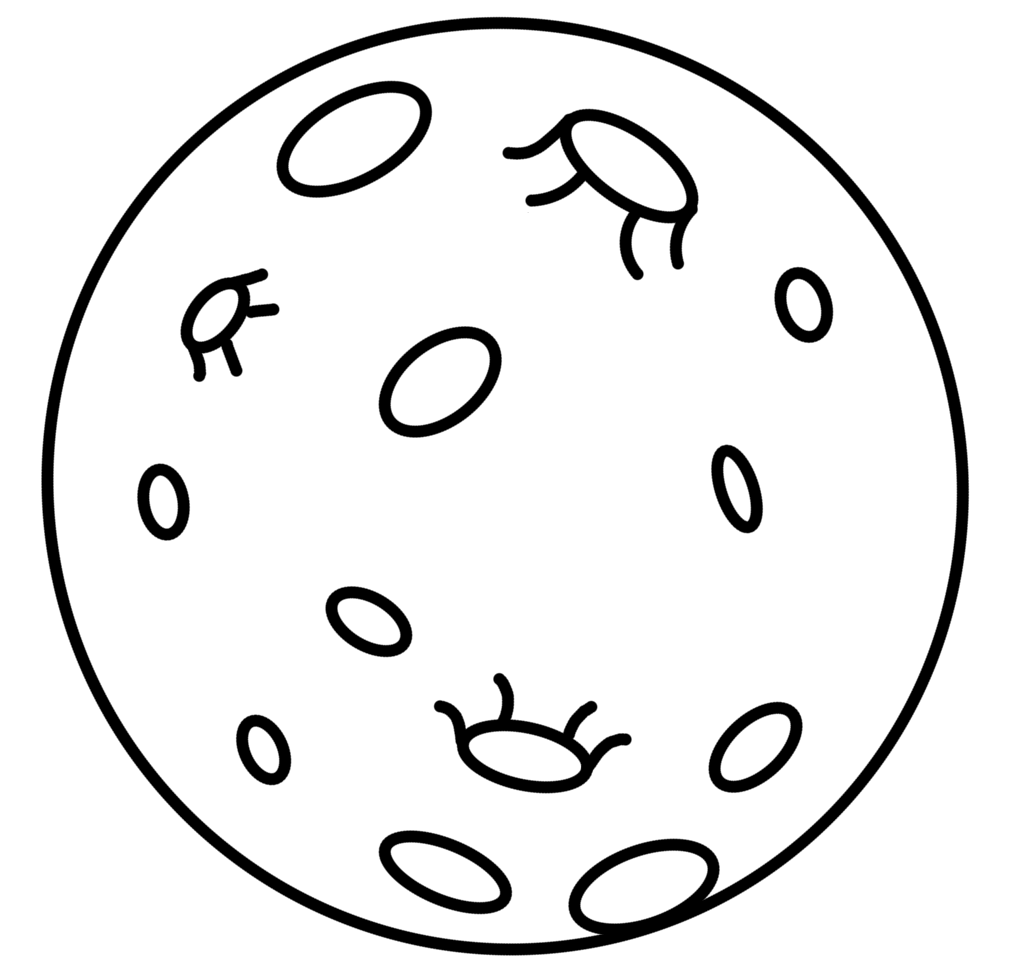 Coloriage Lune Complete Réaliste - Lune à imprimer