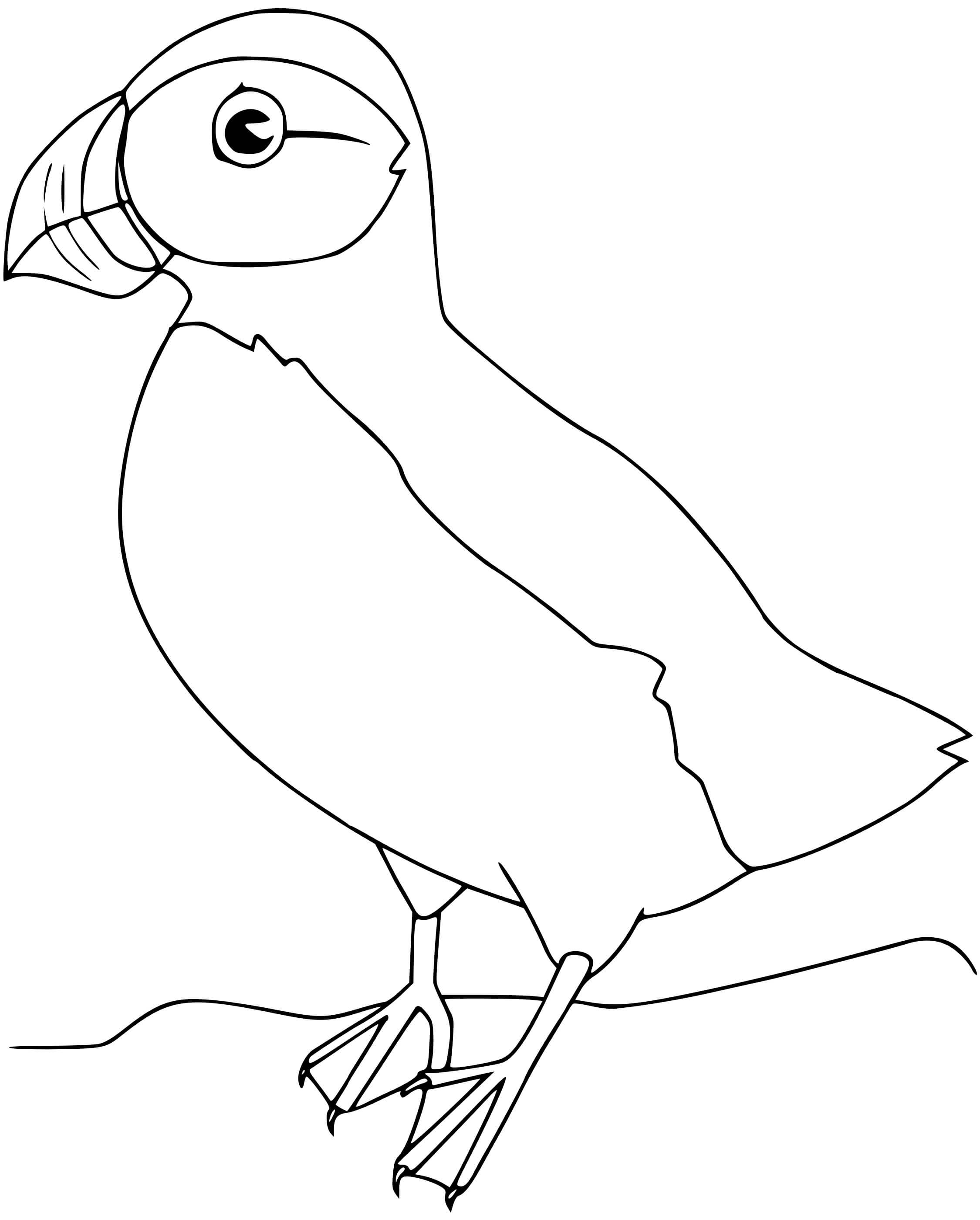 Coloriage Macareux Oiseau - Oiseau à imprimer