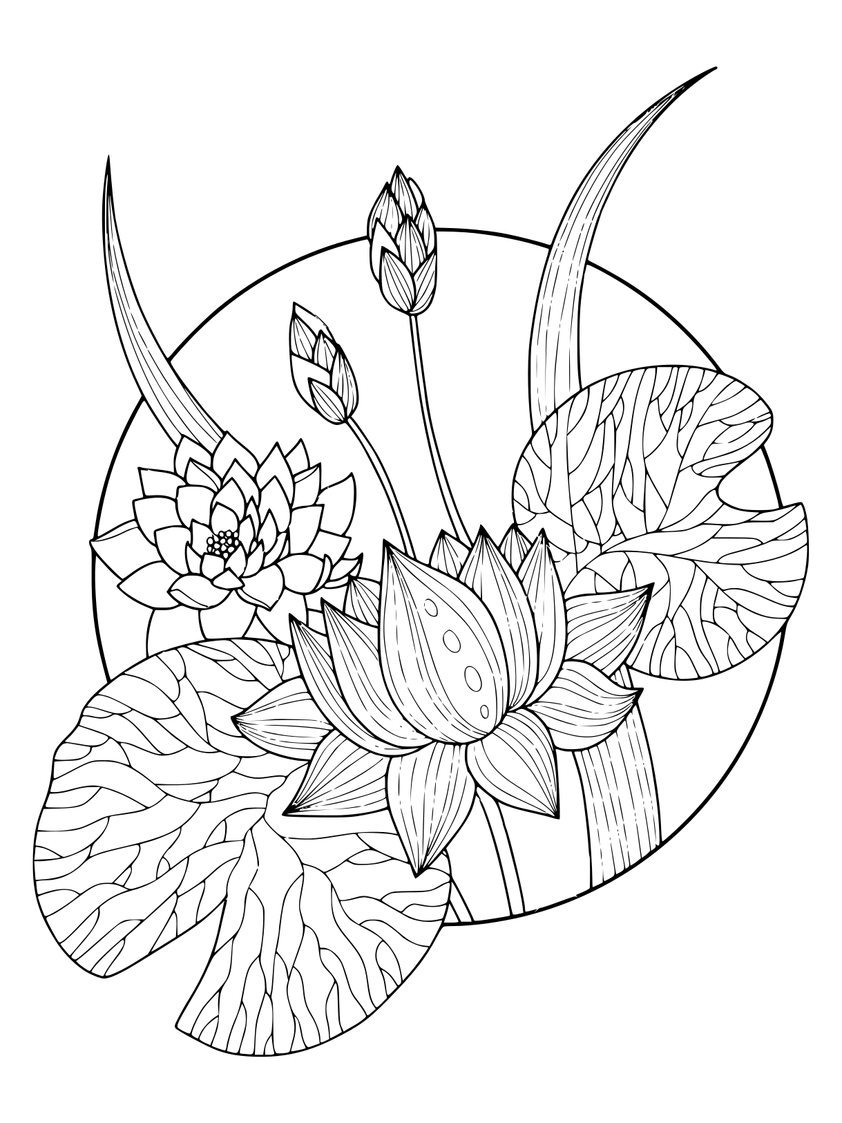 Coloriage Magnifique Fleurs Lotus - Fleurs à imprimer