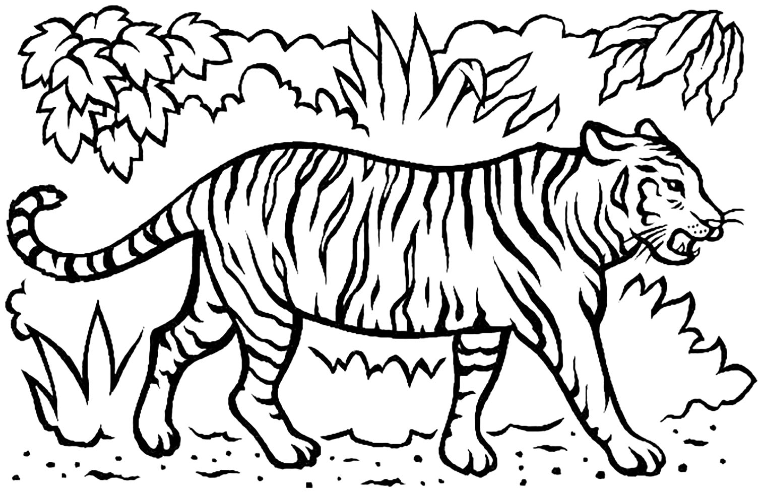 Coloriage Magnifique Tigre Avec Dents Dans La Savane - Tigre à imprimer