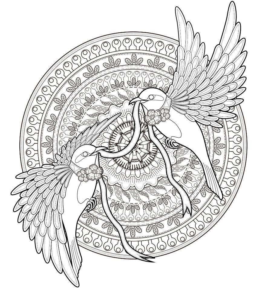 Coloriage Mandala Oiseau Symétrique pour Adulte - Mandala à imprimer