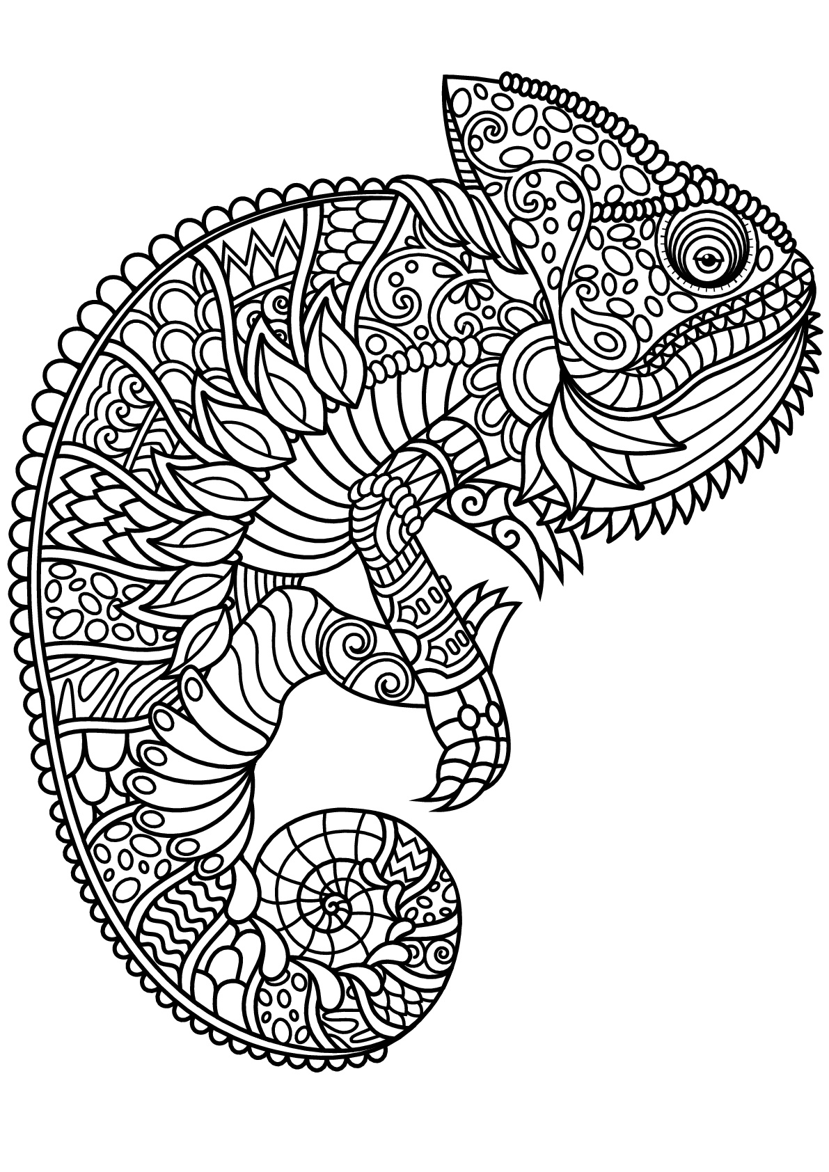 Coloriage Mandala Chameleon Animal - Adulte animaux à imprimer