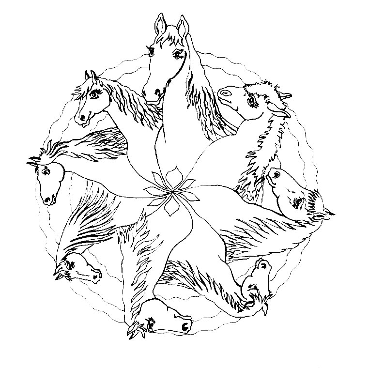 Coloriage Mandala De Chevaux - Cheval à imprimer