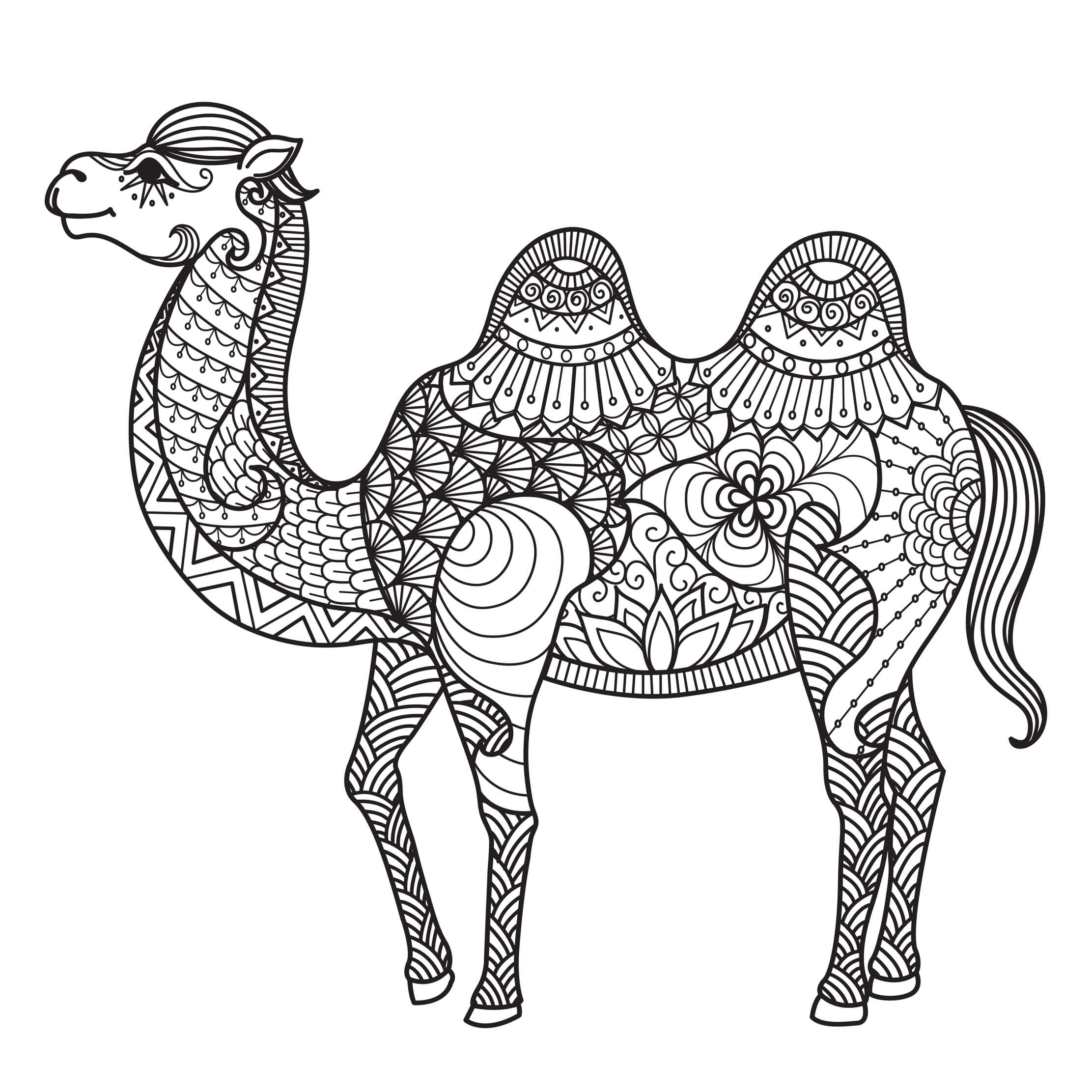 Coloriage Mandala Égypte Chameau - Égypte à imprimer