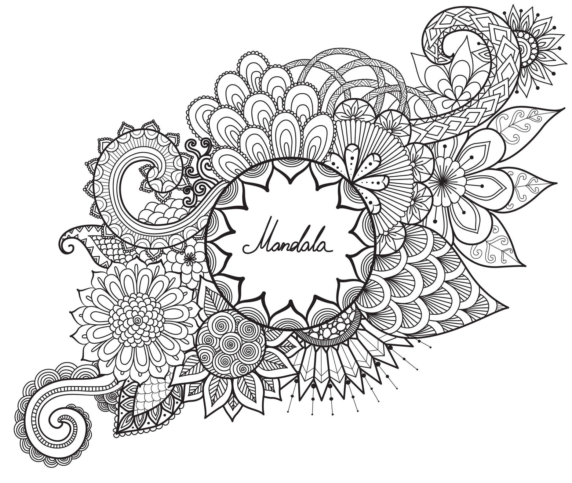 Coloriage Mandala Fleurs Et Vegetations Anti Stress Par Bimbimkha - Adulte à imprimer