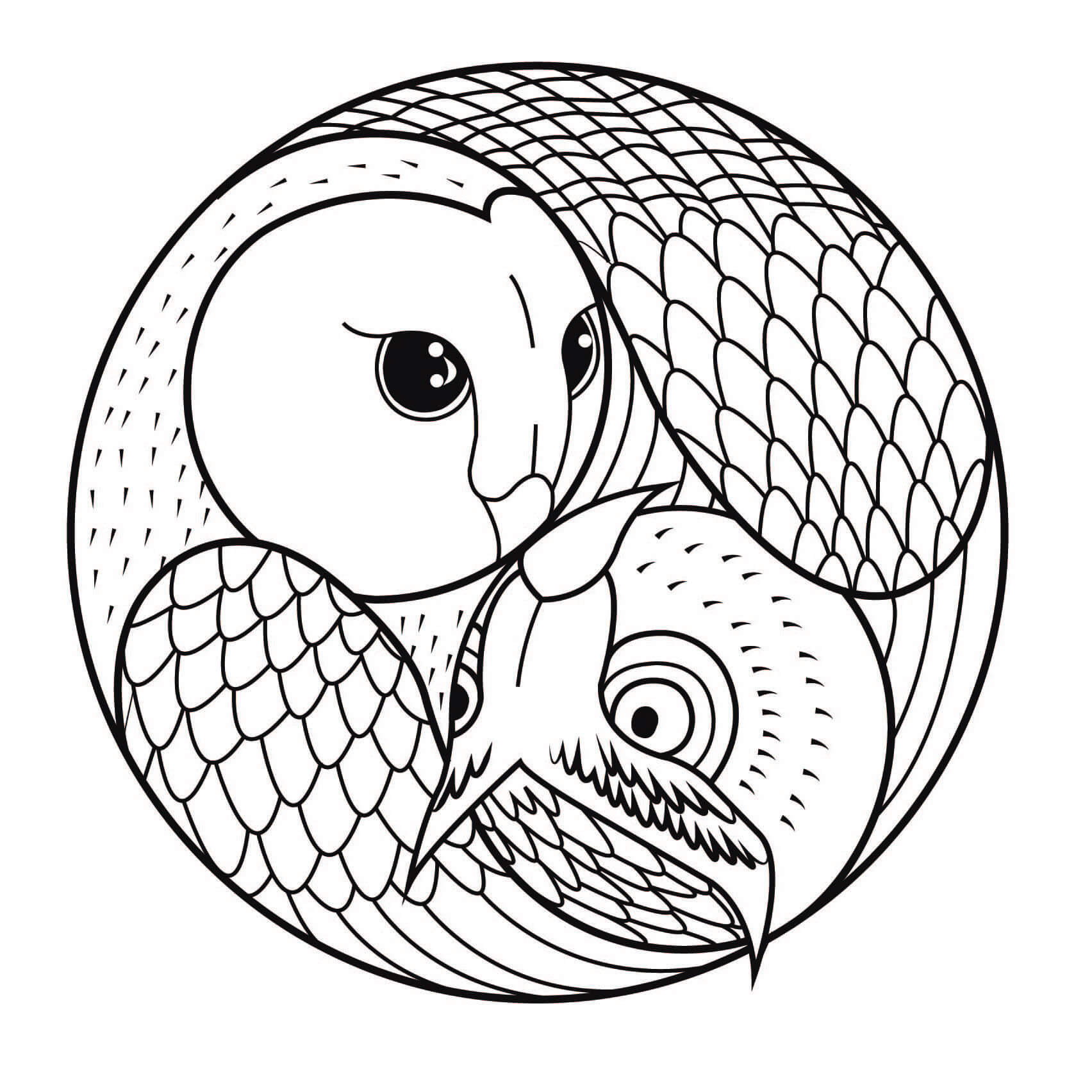 Coloriage Mandala Hibou Et Chouette - Chouette à imprimer