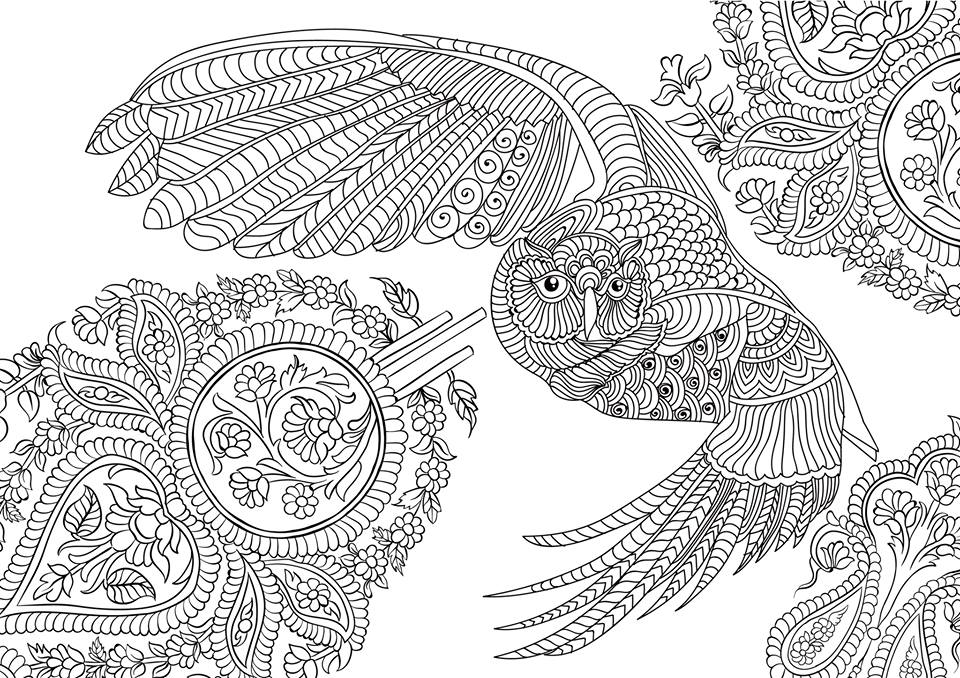 Coloriage Mandala Owl Adult Pattern Free - Adulte à imprimer