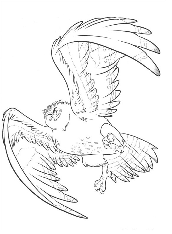 Coloriage Maui Se Transforme En Aigle Royal Vaiana - Vaiana moana à imprimer