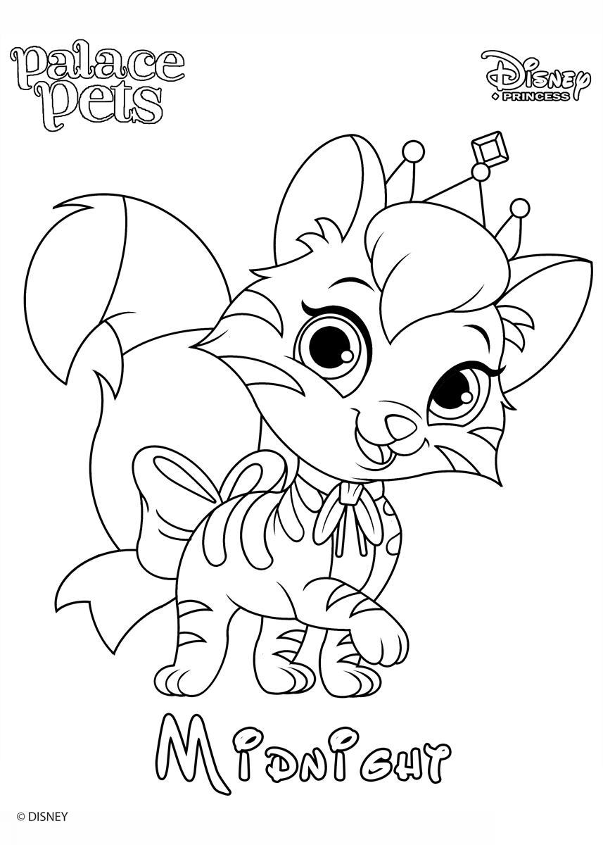 Coloriage Midnight Princess Disney - Palace pets à imprimer