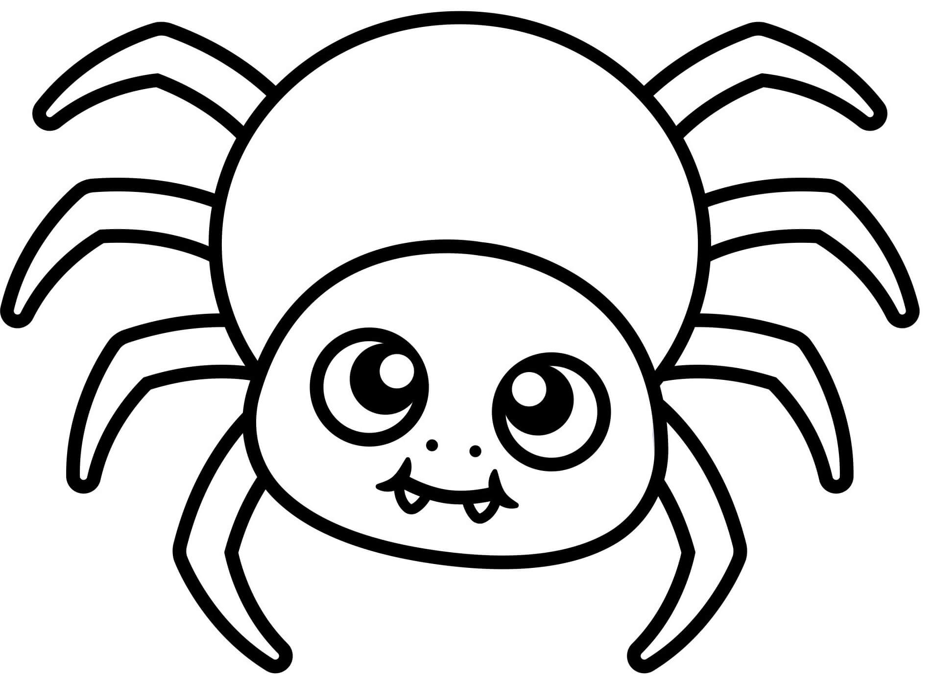 Coloriage Araignée