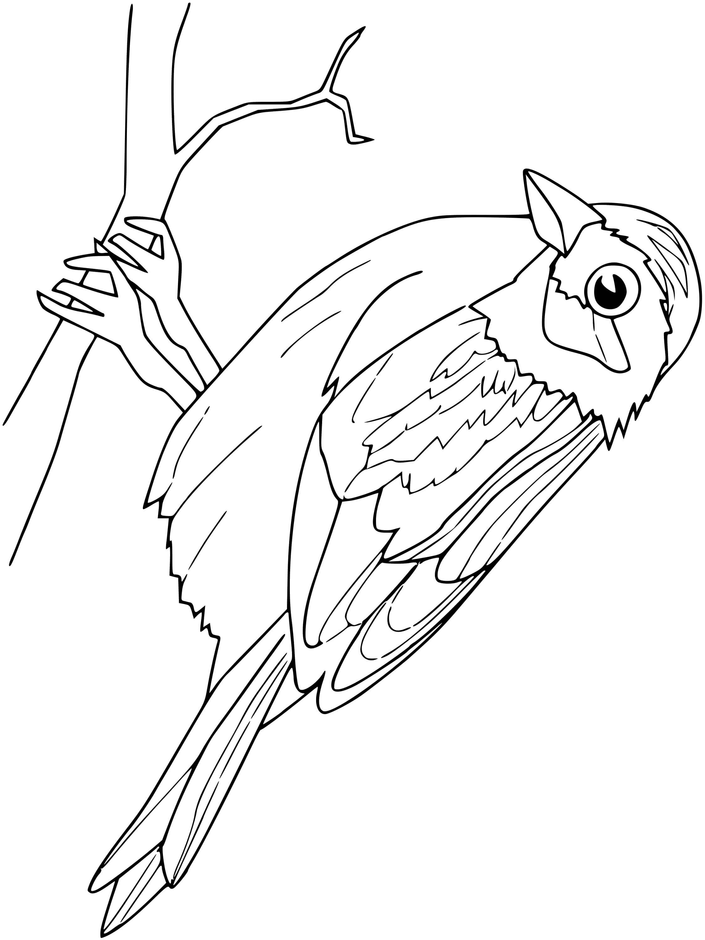 Coloriage Moineau - Oiseau à imprimer