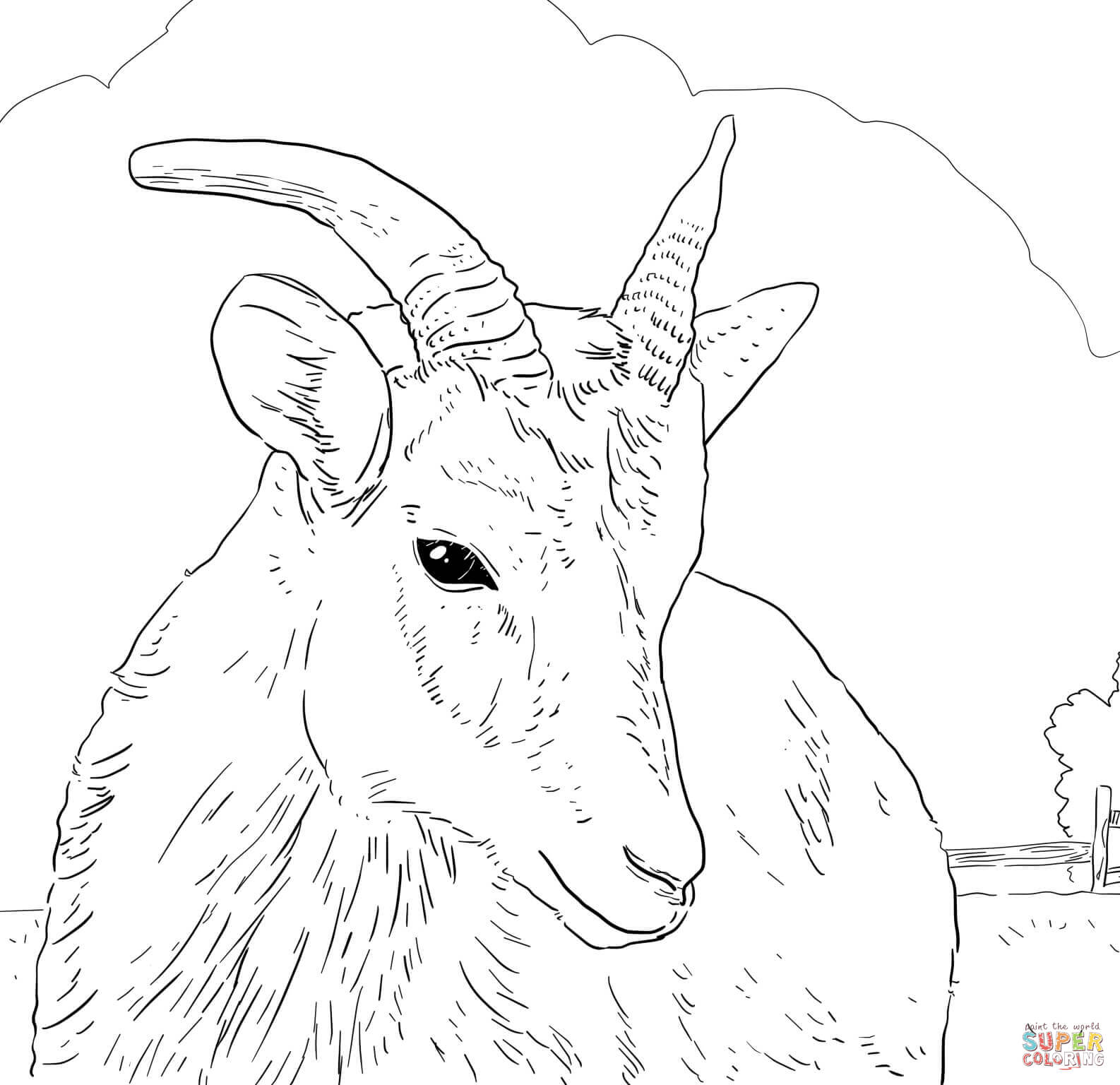 Coloriage Mouflon Canadien De La Ferme - Mouton à imprimer
