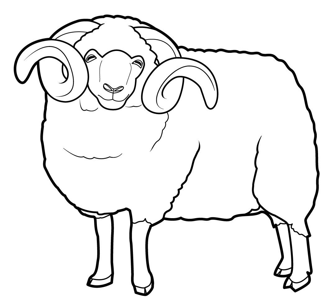Coloriage Mouton Aid - Mouton à imprimer