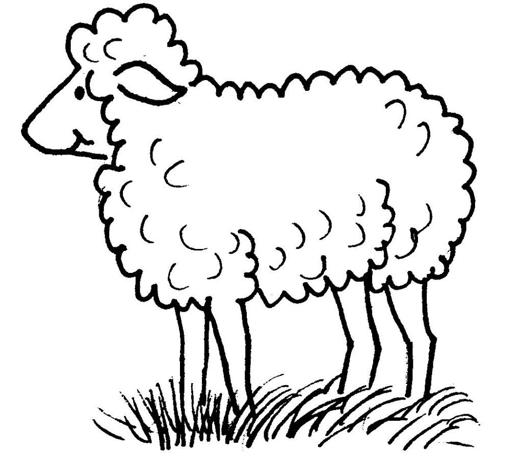 Coloriage Mouton Dans La Nature Maternelle - Mouton à imprimer