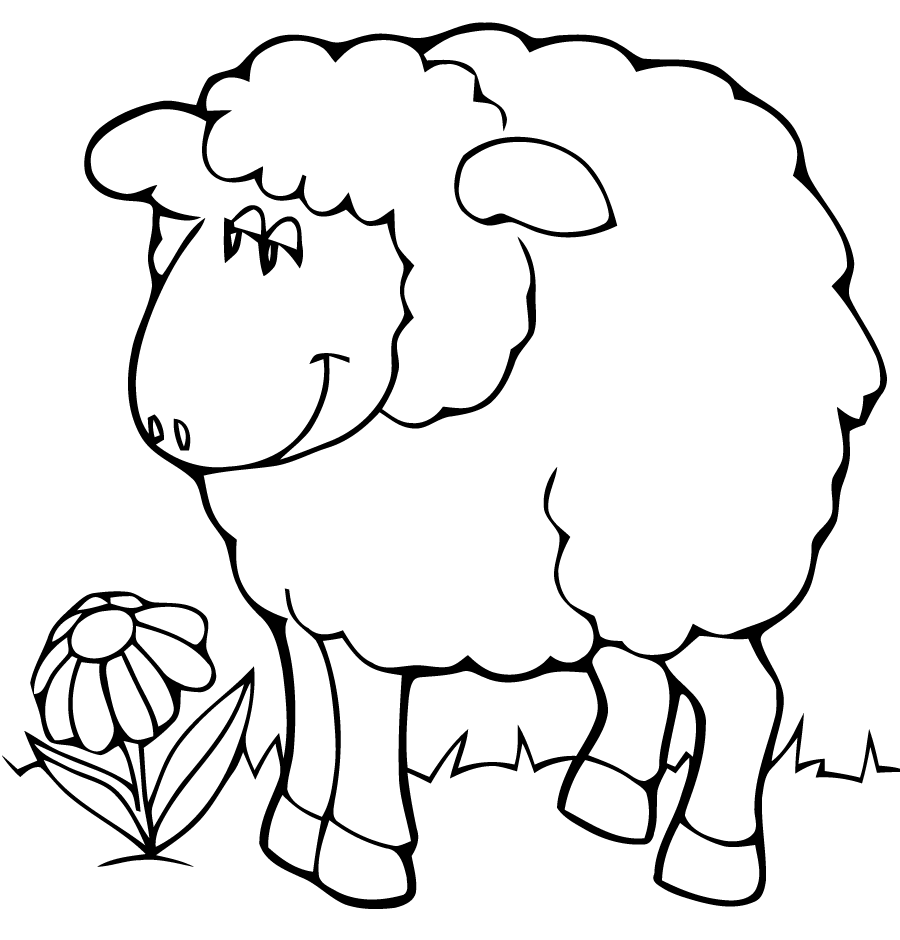 Coloriage Mouton Maternelle Facile Aid - Mouton à imprimer