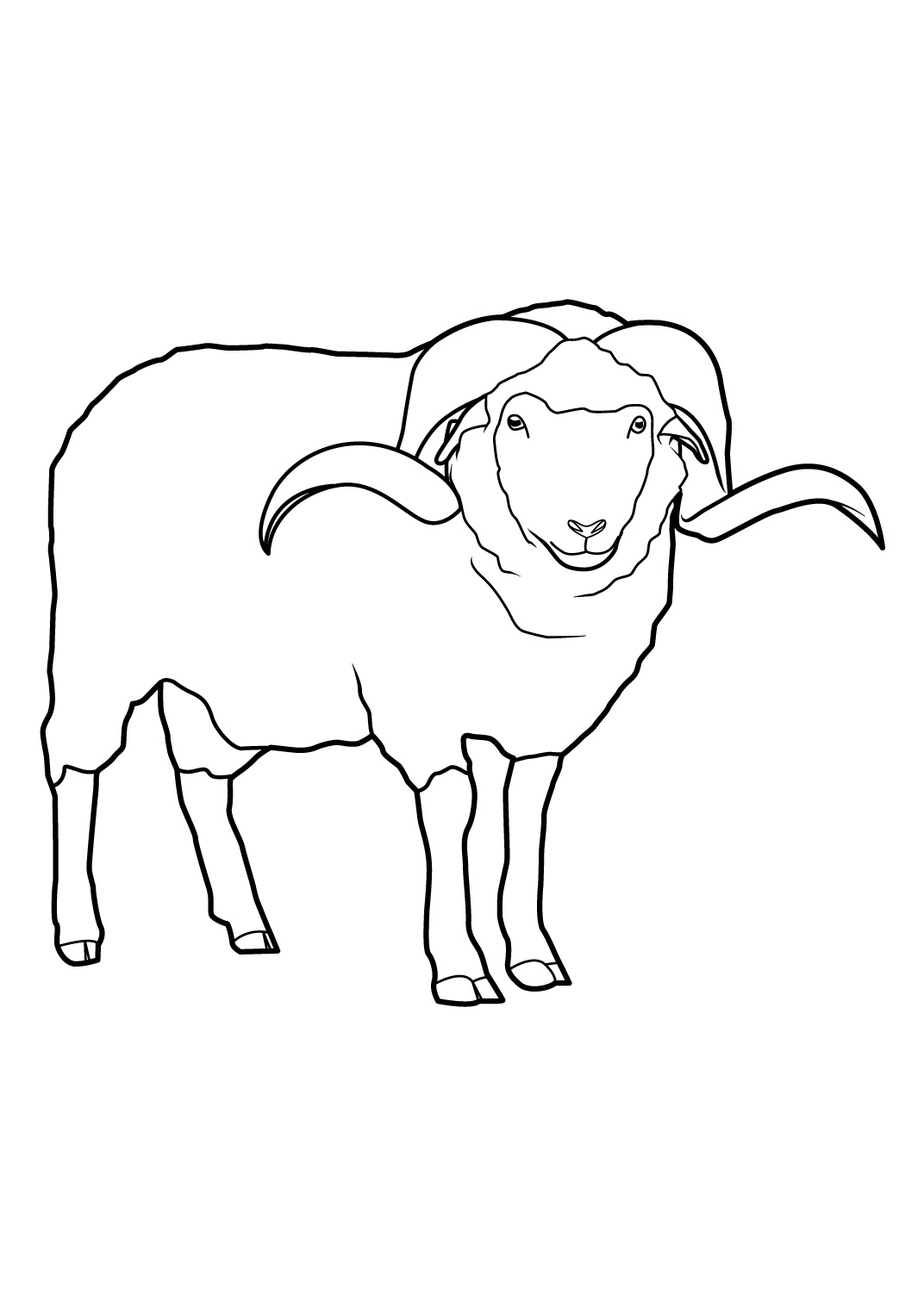 Coloriage Mouton Pour La Célébration De Laid - Mouton à imprimer