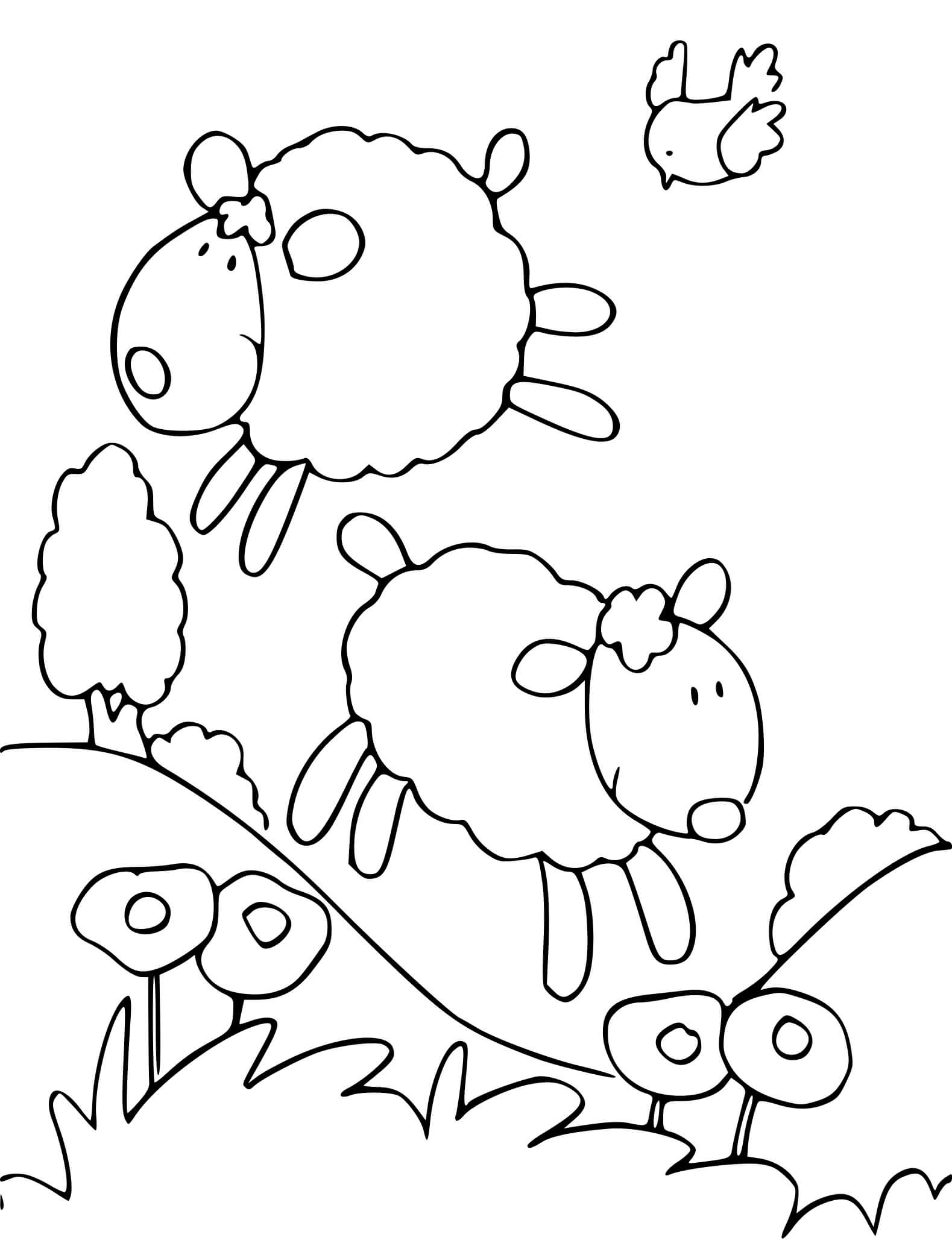 Coloriage Moutons Et Oiseau Dans La Nature - Mouton à imprimer
