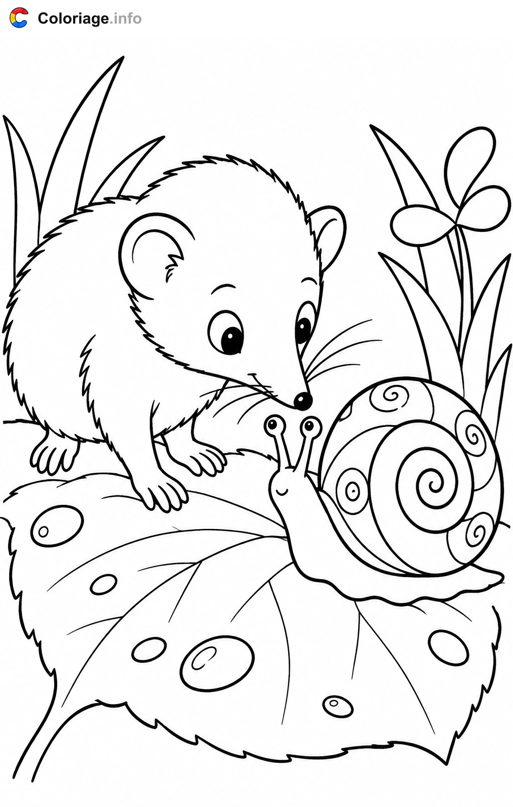 Toporagno e la Lumaca da Colorare — Disegno da colorare