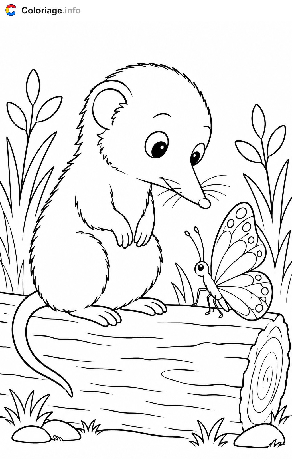Toporagno e farfalla da colorare — Disegno da colorare