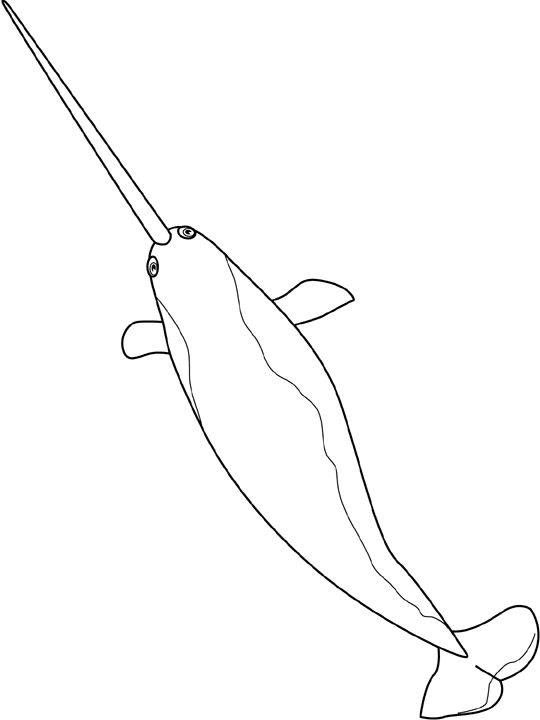 Coloriage Narvval - Poisson à imprimer