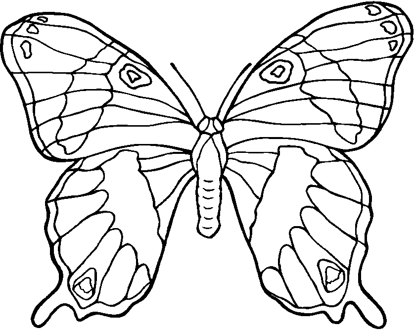Coloriage Nature Jolie Papillon - Nature à imprimer