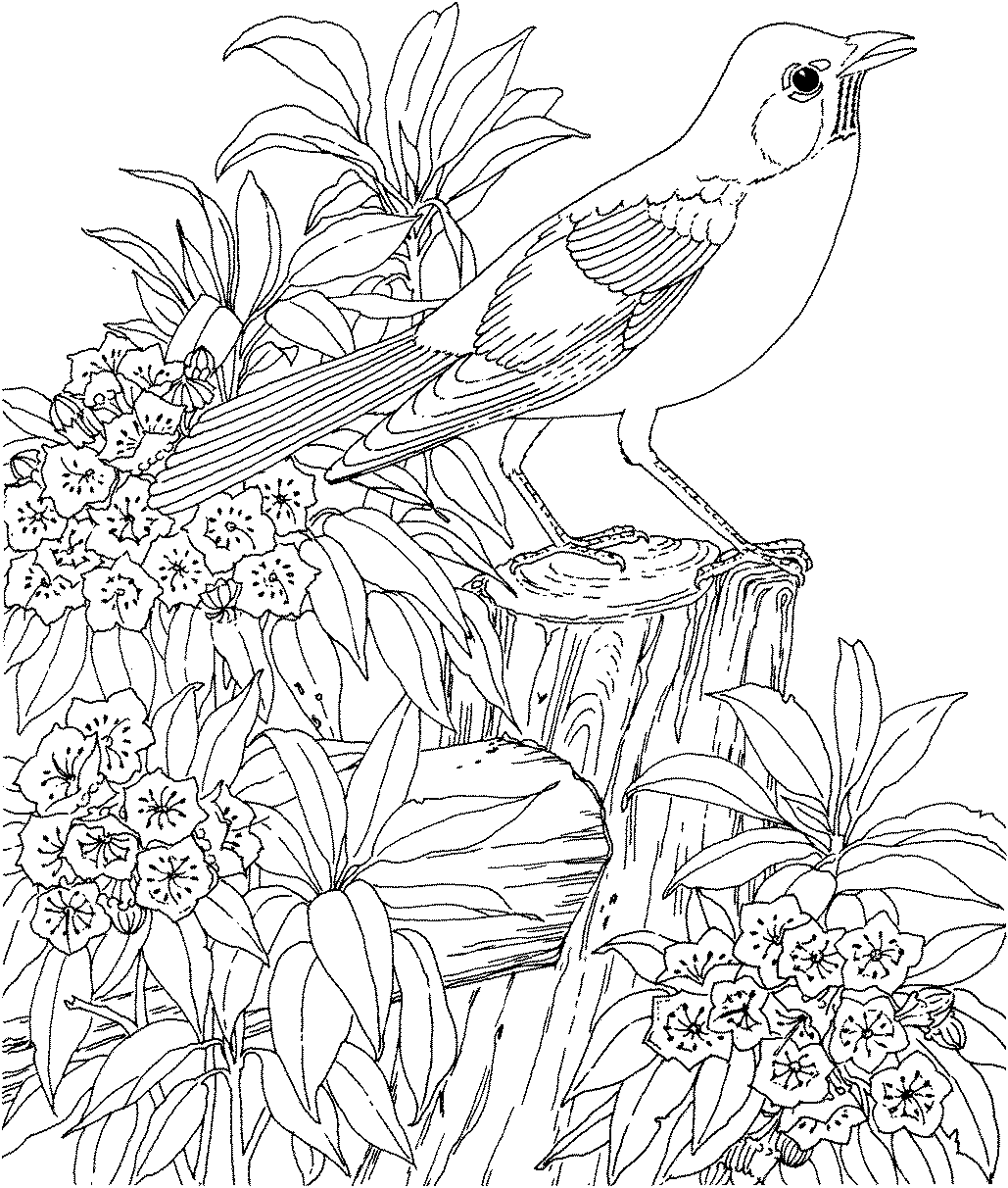 Coloriage Nature Paysage Fleurs Oiseau - Nature à imprimer