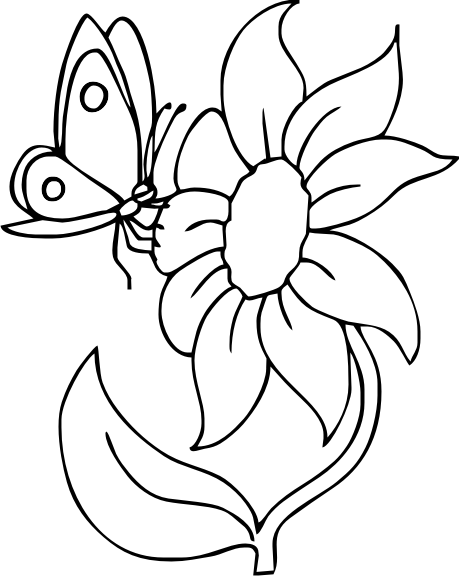 Coloriage Nature Printemps Fleur - Nature à imprimer