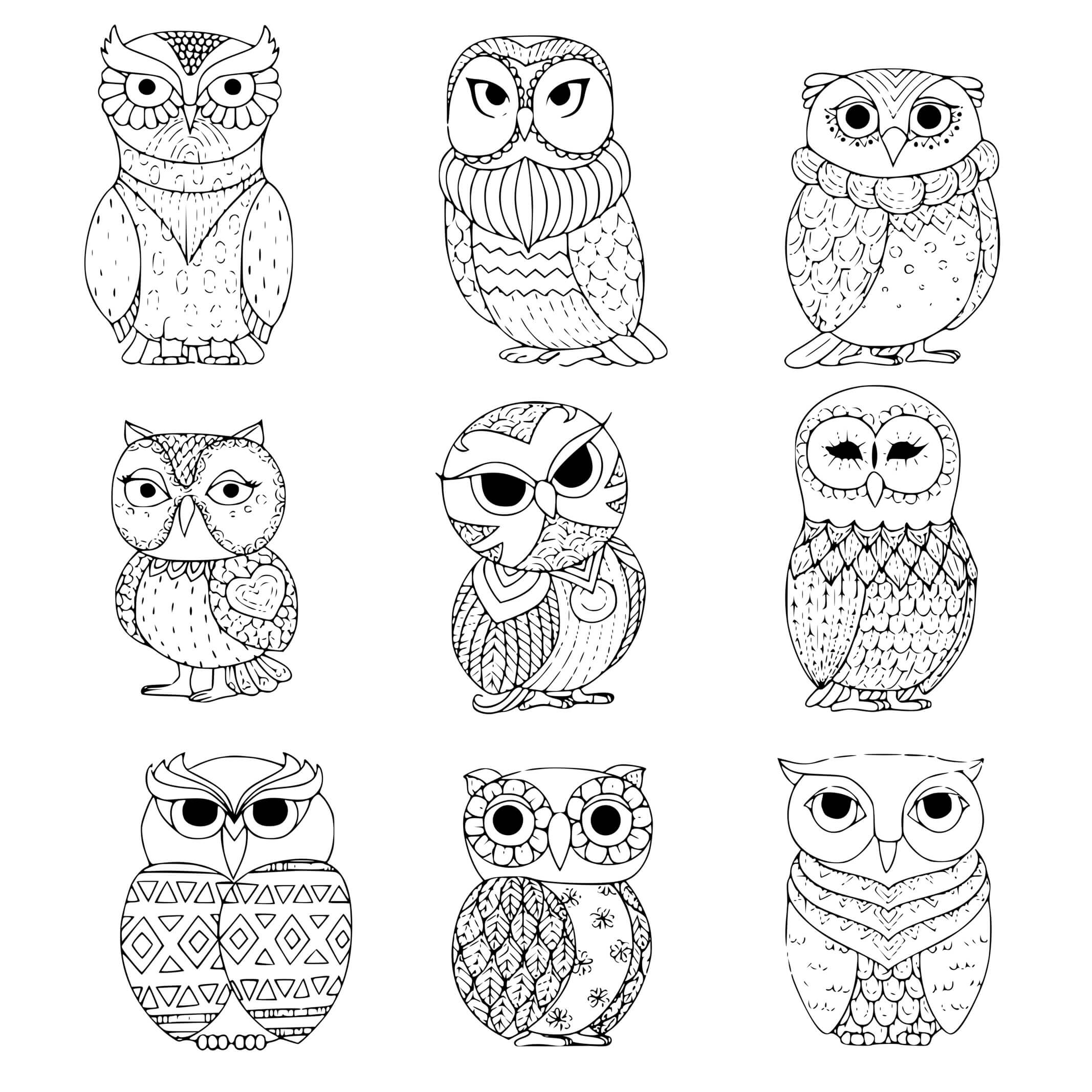 Coloriage Neuf Chouettes Hiboux - Hibou à imprimer