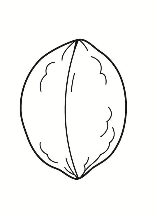 Coloriage Noix Simple Et Facile - Noix à imprimer