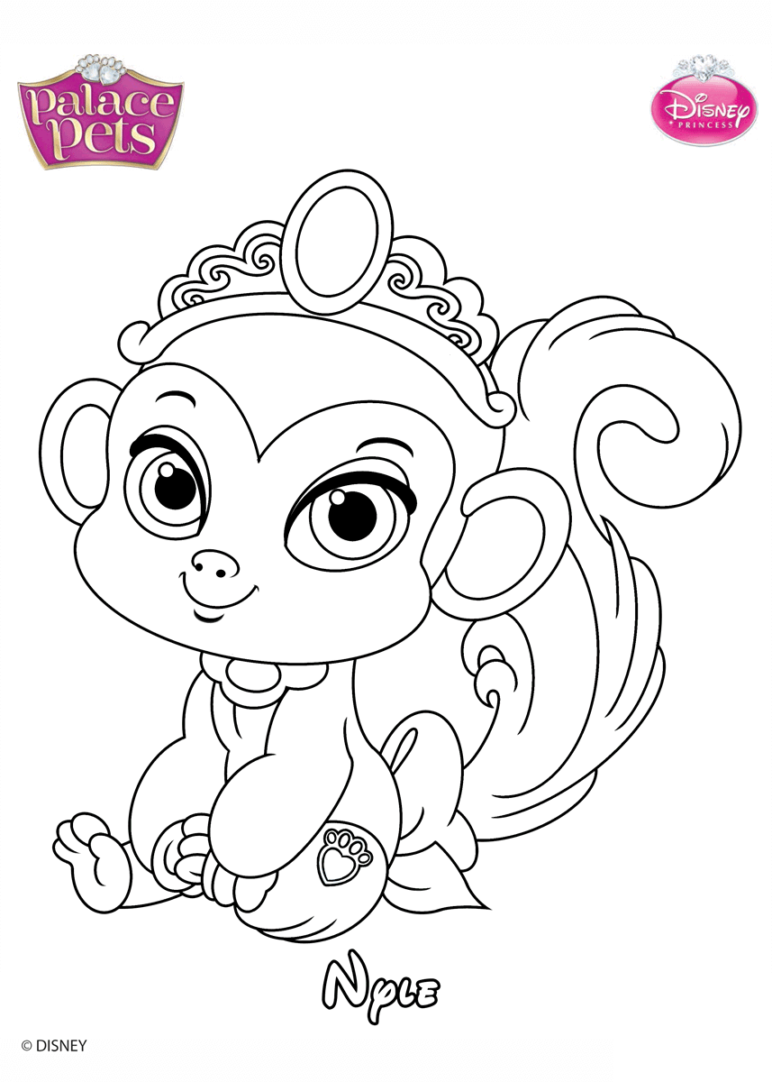 Coloriage Nyle Princess Disney - Palace pets à imprimer