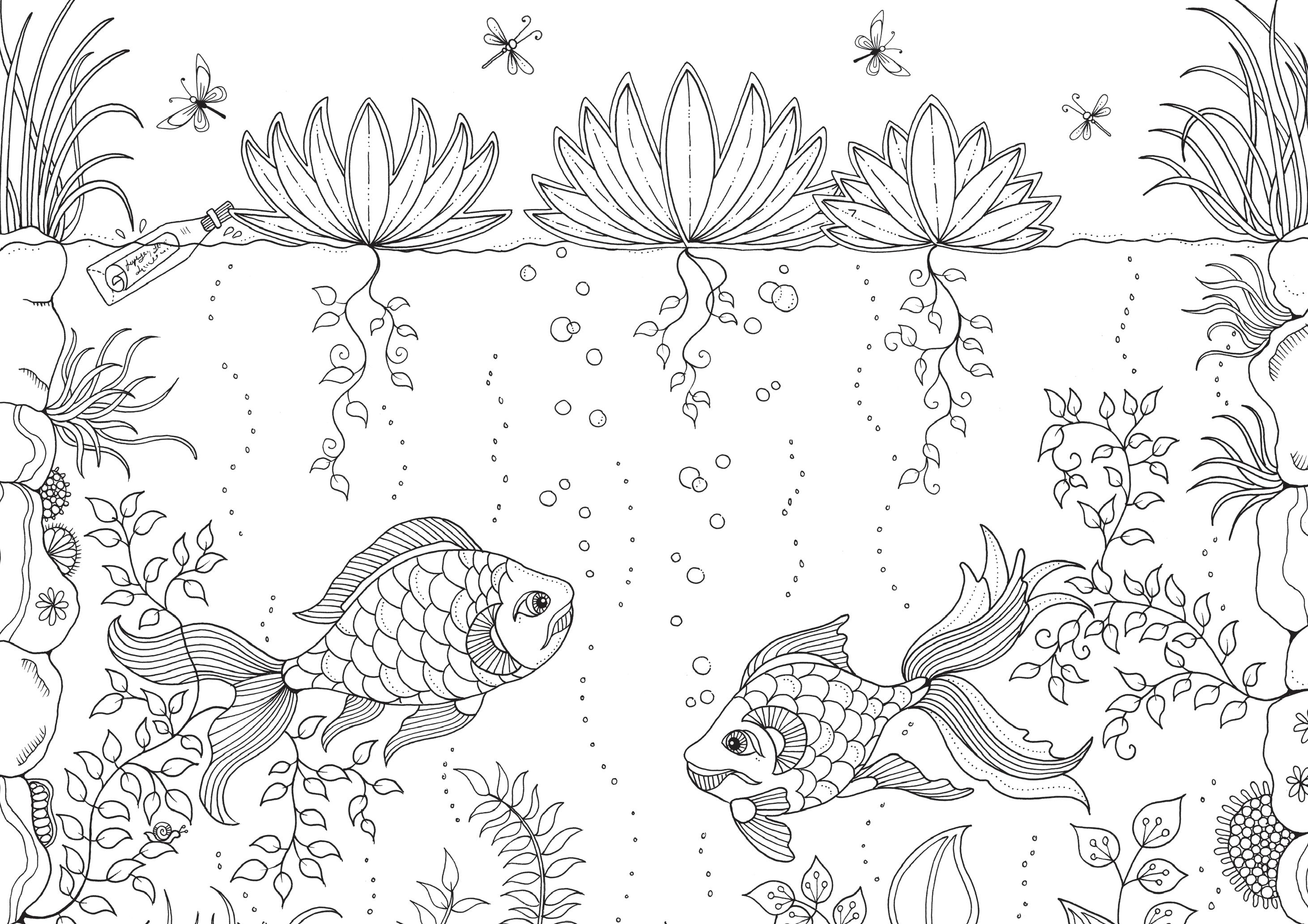 Coloriage Ocean Poissons Adulte Zen Anti Stress - Adulte à imprimer