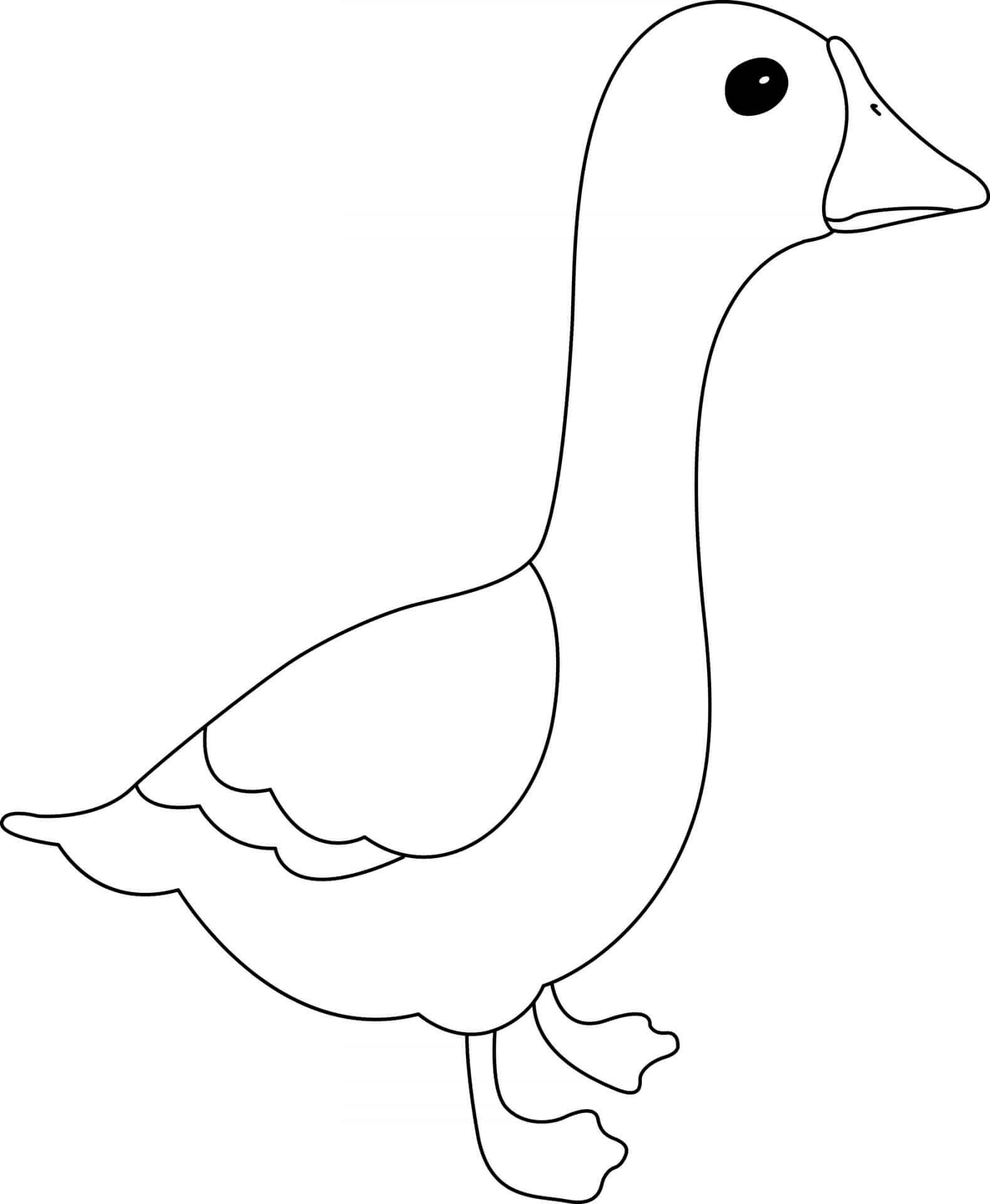 Coloriage Oie Animal - Animal à imprimer