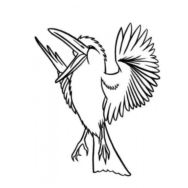 Coloriage Oiseau Bleu - Animaux à imprimer