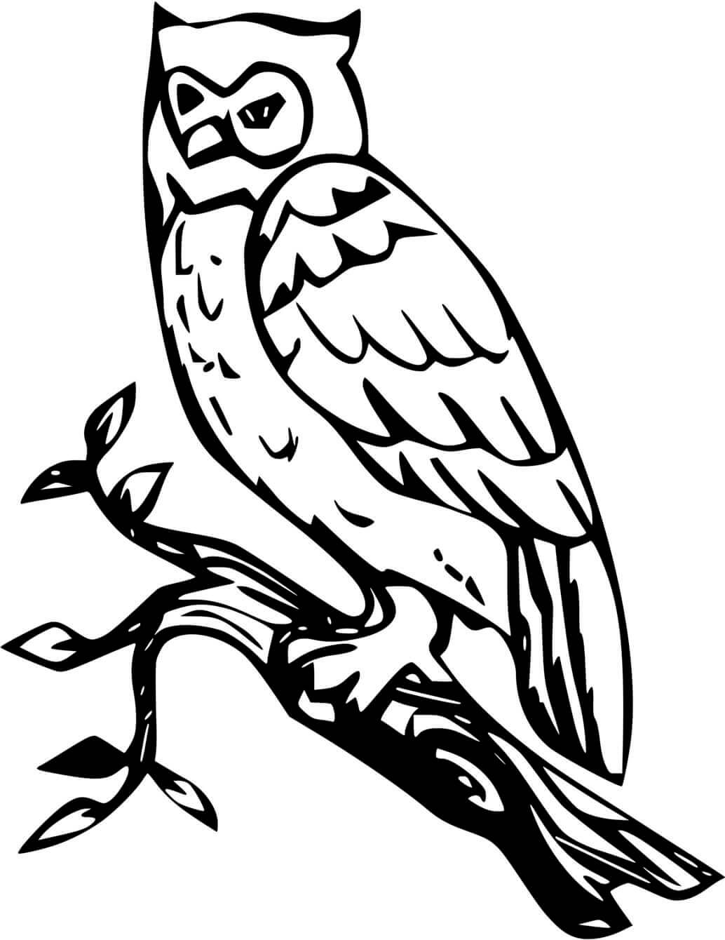 Coloriage Oiseau Chouette Sur Une Branche Arbre - Hibou à imprimer