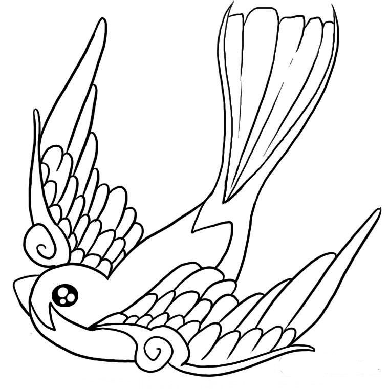 Coloriage Oiseau De Paradis - Animaux à imprimer