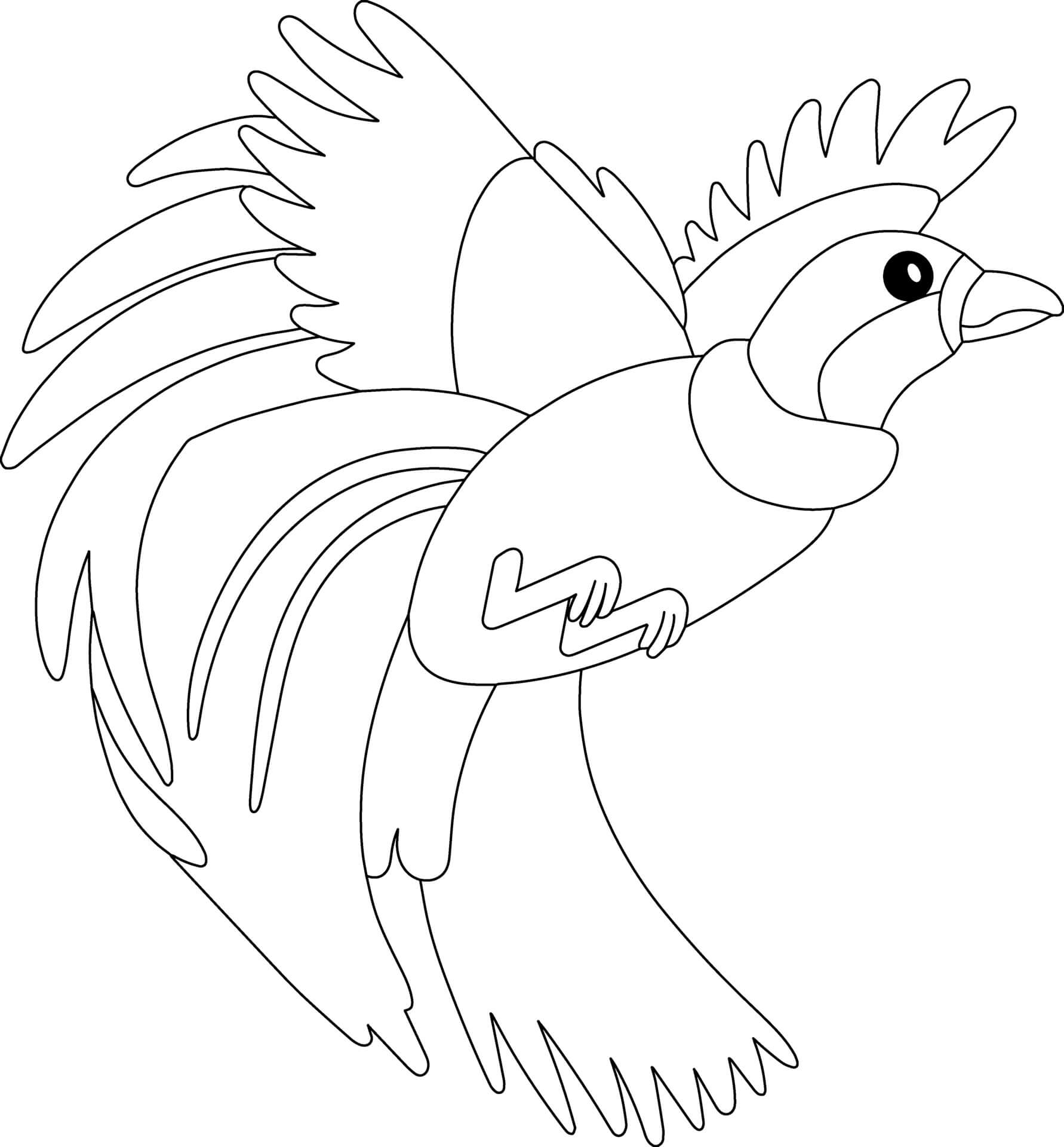 Coloriage Oiseau Du Paradis - Animal à imprimer